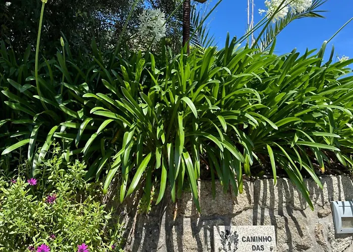 Residencia Louras * ビアナドカステロ